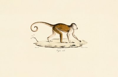  de Jacques Christophe Werner