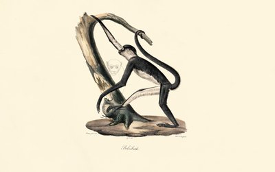  de Jacques Christophe Werner