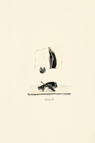  de Jacques Christophe Werner