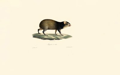  de Jacques Christophe Werner
