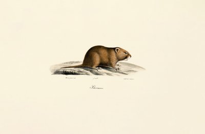  de Jacques Christophe Werner
