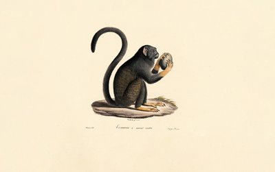  de Jacques Christophe Werner