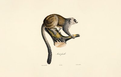  de Jacques Christophe Werner