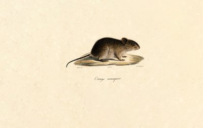  de Jacques Christophe Werner