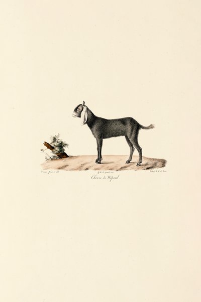  de Jacques Christophe Werner