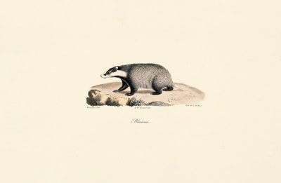  de Jacques Christophe Werner