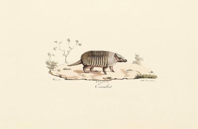  de Jacques Christophe Werner