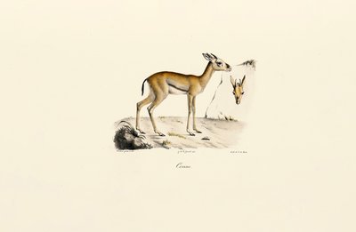  de Jacques Christophe Werner