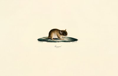  de Jacques Christophe Werner
