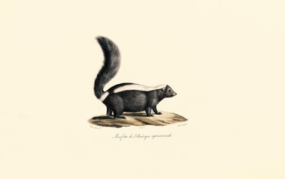  de Jacques Christophe Werner