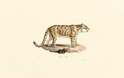  de Jacques Christophe Werner