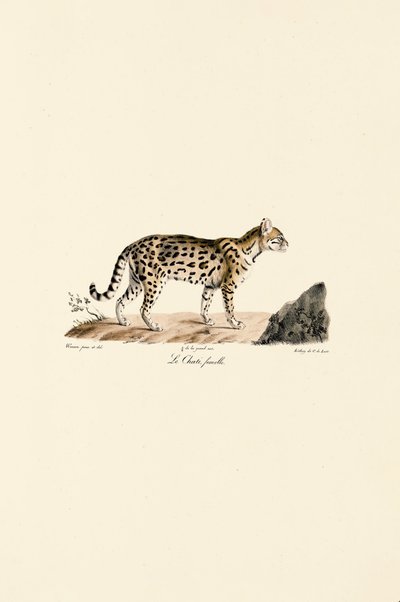  de Jacques Christophe Werner