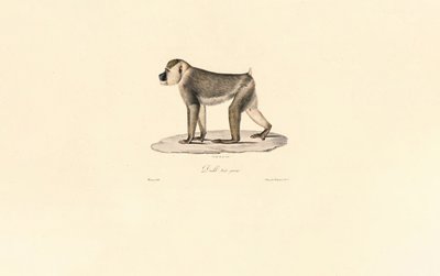  de Jacques Christophe Werner