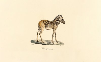  de Jacques Christophe Werner