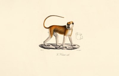  de Jacques Christophe Werner