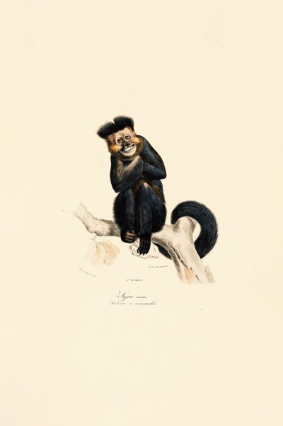  de Jacques Christophe Werner