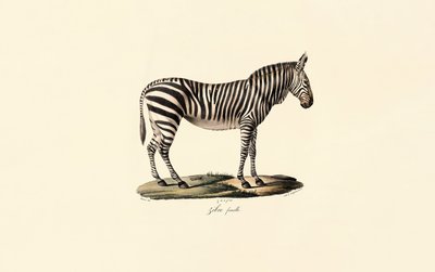  de Jacques Christophe Werner