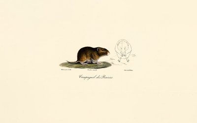 de Jacques Christophe Werner