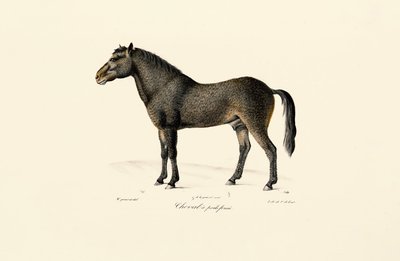  de Jacques Christophe Werner
