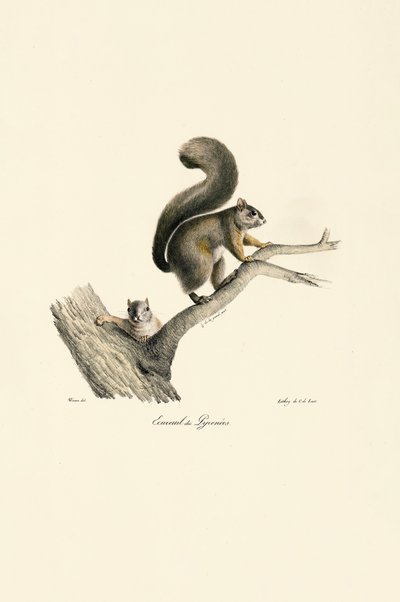  de Jacques Christophe Werner