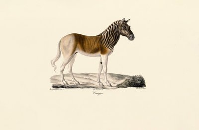  de Jacques Christophe Werner