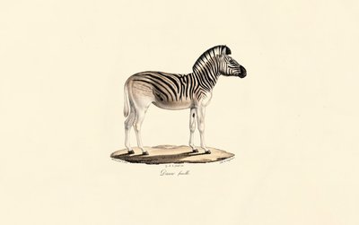  de Jacques Christophe Werner