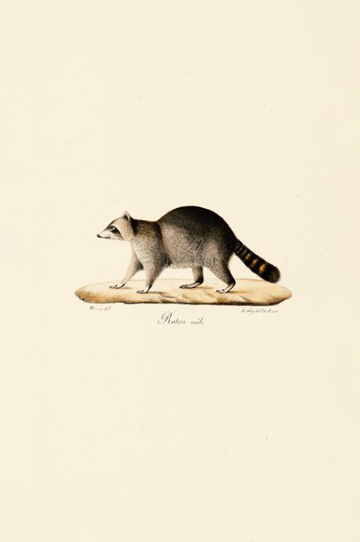  de Jacques Christophe Werner
