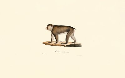  de Jacques Christophe Werner