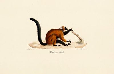  de Jacques Christophe Werner