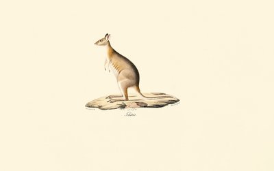  de Jacques Christophe Werner