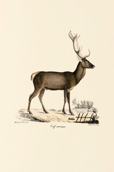  de Jacques Christophe Werner