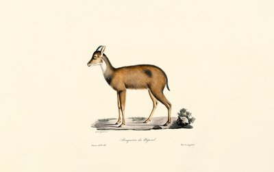  de Jacques Christophe Werner
