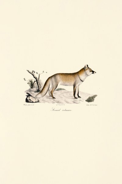  de Jacques Christophe Werner