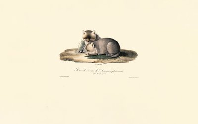  de Jacques Christophe Werner