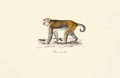  de Jacques Christophe Werner
