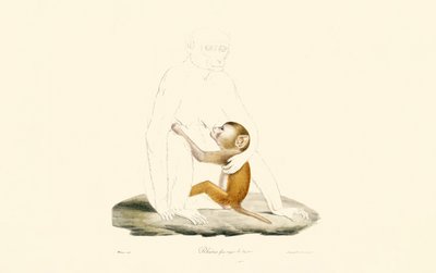  de Jacques Christophe Werner