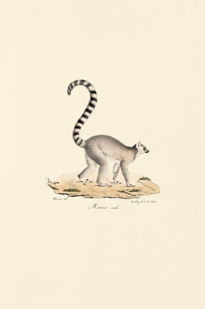  de Jacques Christophe Werner