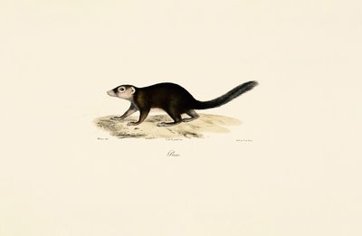  de Jacques Christophe Werner