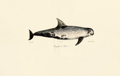  de Jacques Christophe Werner