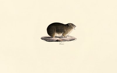  de Jacques Christophe Werner