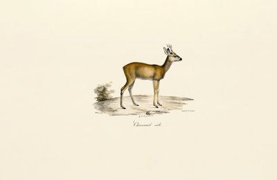  de Jacques Christophe Werner