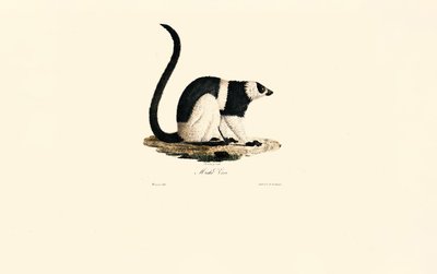  de Jacques Christophe Werner