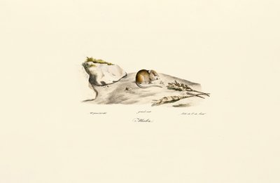 de Jacques Christophe Werner