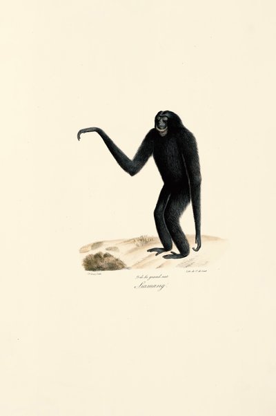  de Jacques Christophe Werner