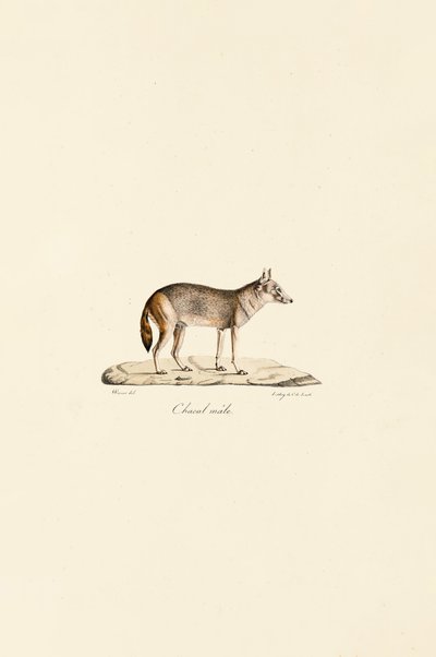  de Jacques Christophe Werner