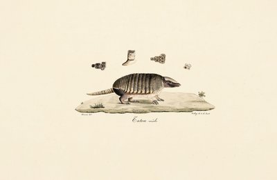  de Jacques Christophe Werner
