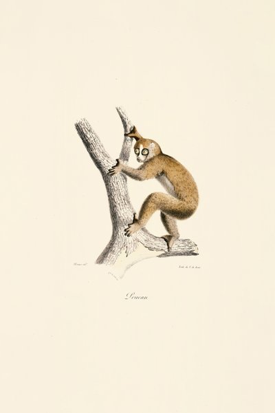  de Jacques Christophe Werner