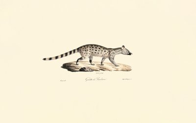 de Jacques Christophe Werner