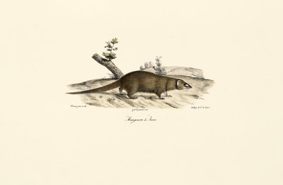  de Jacques Christophe Werner