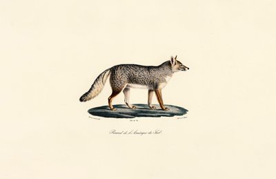  de Jacques Christophe Werner